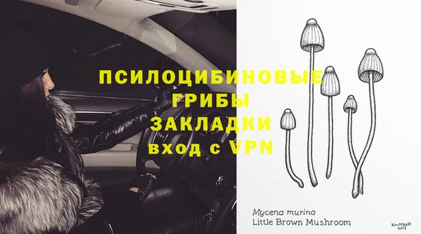эйфоретик Наволоки