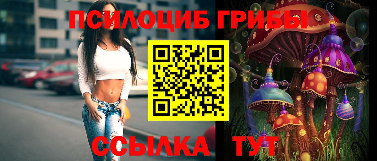 Галлюциногенные грибы MAGIC MUSHROOMS  Вход с VPN  Ипатово 